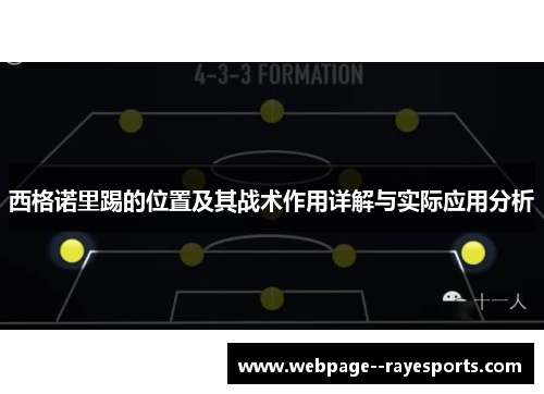 西格诺里踢的位置及其战术作用详解与实际应用分析 西格诺里踢的位置及其战术作用详解与实际应用分析
