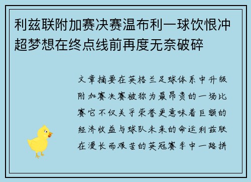 利兹联附加赛决赛温布利一球饮恨冲超梦想在终点线前再度无奈破碎 利兹联附加赛决赛温布利一球饮恨冲超梦想在终点线前再度无奈破碎